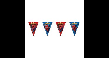 Vlaggenlijn Spider-Man Team-Up (2m)
