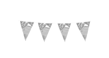 Vlaggenlijn Metallic Zilver