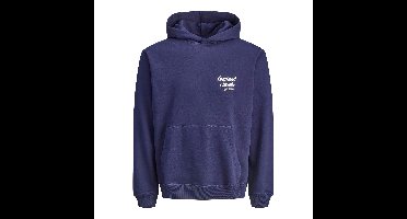 Jack & Jones Typo Back Sweat Hoodie