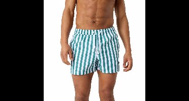 Björn Borg Print Swim Shorts