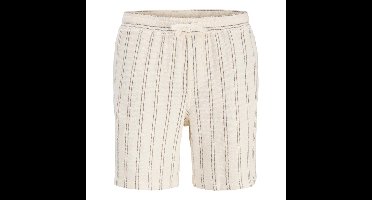 Jack & Jones Jaiden Coba Shorts