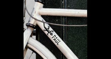 Gekko met naam fiets sticker
