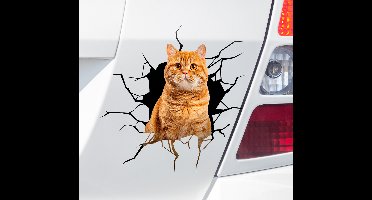 Kat in gat autosticker