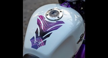 Neon motor sticker