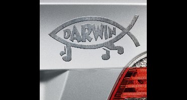 Auto stickers zilveren vis