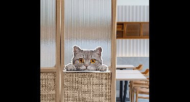 Raamsticker kijkende nieuwsgierige kat