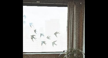Muurstickers slaapkamer doorzichtige vogels
