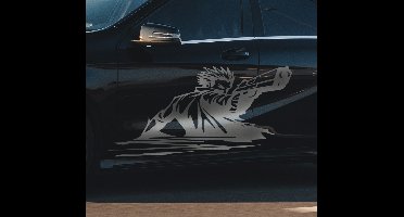 Schutter vinyl zelfklevende autosticker