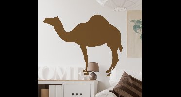 Sticker silhouette dromedaris