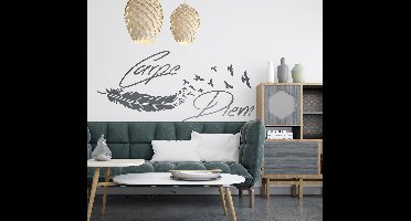 Muursticker tekst woonkamer Carpe Diem