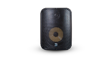 Bluesound Professional: BSP1000 PoE+ Actieve Netwerkluidspreker - Zwart