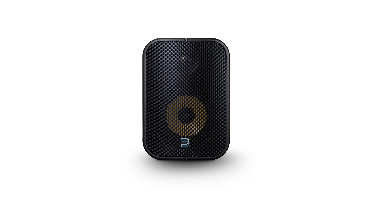 Bluesound Professional: BSP500 Netwerk streaming speaker - Zwart