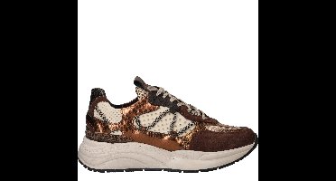LOFF 1881 Sneakers Dames Bruin