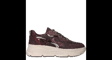 LOFF 1881 Sneakers Dames Paars