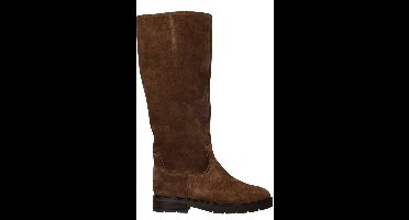 Gabor Laarzen Dames Bruin