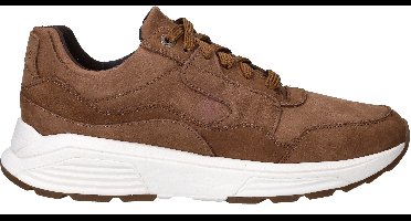 Xsensible Golden Gate Sneakers Heren Cognac