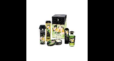 Grote Plezierset Shunga