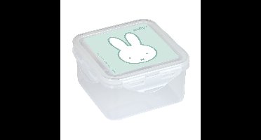 Lunchbox Miffy Menta Munt 13 x 7.5 x 13 cm
