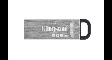 Kingston Technology DataTraveler 256GB Kyson usb-stick