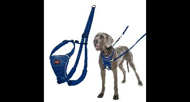 Hondentuigje Company of Animals COBALT Blauw L