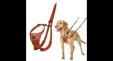 Hondentuigje Company of Animals BURNT Oranje 12