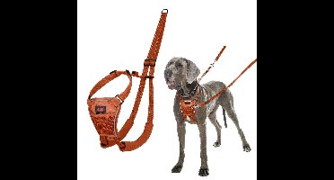 Hondentuigje Company of Animals BURNT Oranje L