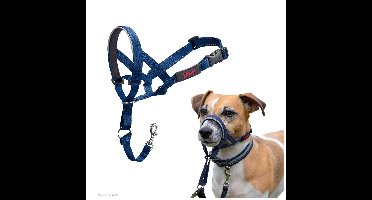 Muilkorf Company of Animals COBALT Blauw 4