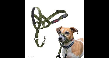 Muilkorf Company of Animals FOREST Groen 3