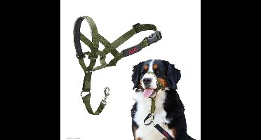 Muilkorf Company of Animals FOREST Groen 4