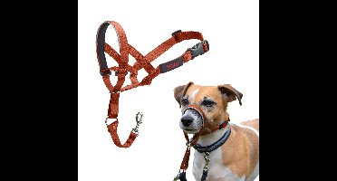 Muilkorf Company of Animals BURNT Oranje Maat 1