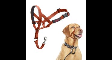 Muilkorf Company of Animals BURNT Oranje 3