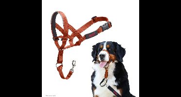 Muilkorf Company of Animals BURNT Oranje 4