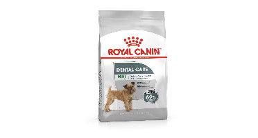 ROYAL CANIN CCN Mini Dental Care - droogvoer voor volwassen honden - 3kg