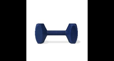 Trainingsspeelgoed Coachi TRAINING DUMBBELL Blauw