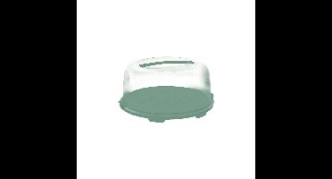 Rotho Fresh Taartdoos Hoog Mistletoe Groen