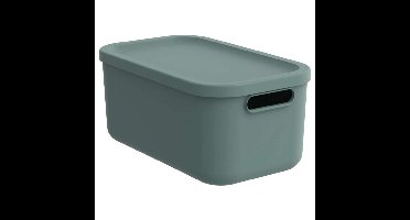 Rotho Albula Opbergbox 12L Mistletoe Groen