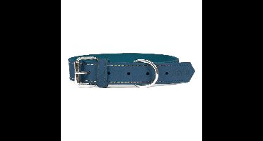 Hondenhalsband Gloria Oasis Blauw (50 x 2,1 cm)