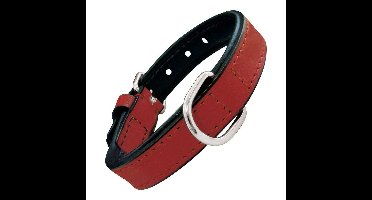 Hondenhalsband Gloria Gestoffeerd Rood 50 cm (50 x 2,5 cm)