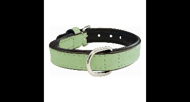 Hondenhalsband Gloria Gestoffeerd Groen (35 cm) (35 x 1,5 cm)