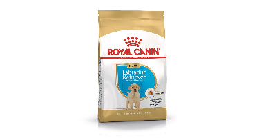 ROYAL CANIN SHN Breed Labrador Junior droogvoer voor honden - 12 kg