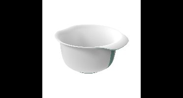 Rotho Fresh Beslagkom 4L Mistletoe Groen