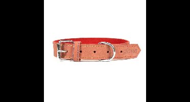 Hondenhalsband Gloria Oasis Rood (1,5 x 40 cm)