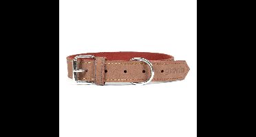 Hondenhalsband Gloria Oasis Bruin (50 x 2,1 cm)