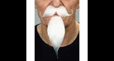 Valse baard My Other Me Wit