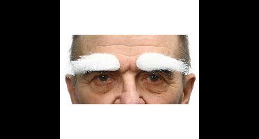 Valse wenkbrauwen My Other Me Wit