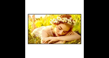 Videowall Monitor LG 43UL5Q-E.AEUQ 4K Ultra HD 43"