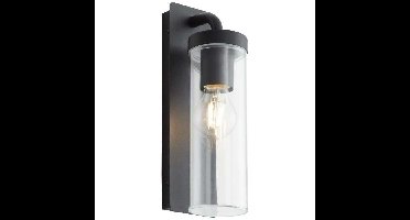 BRILLIANT Externe downlighting Aosta - E27 - 1x25W - Mat zwart