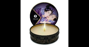 Massagekaars Shunga 10736 30 ml Exotische Vruchten