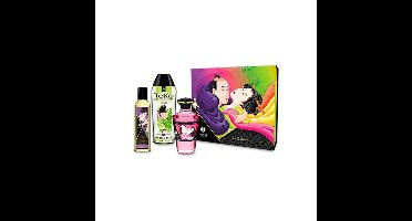 Grote Plezierset Shunga Fruity Kisses (3 pcs)