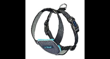 Hondentuigje Company of Animals CarSafe Zwart Maat M